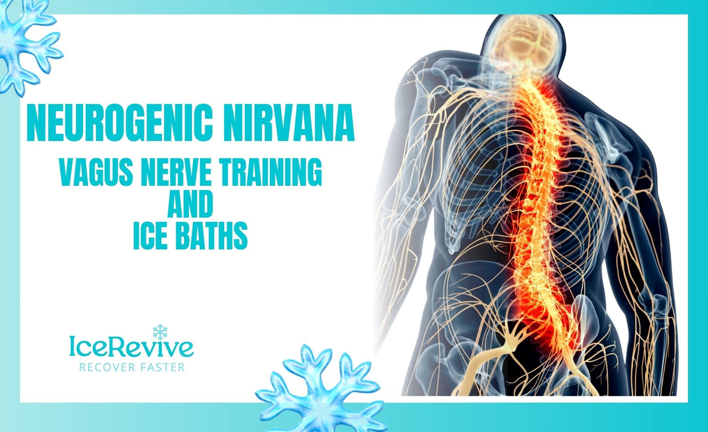 Neurogenic Nirvana: Elevating Performance and Resilience through Vagus Nerve Training and Ice Baths